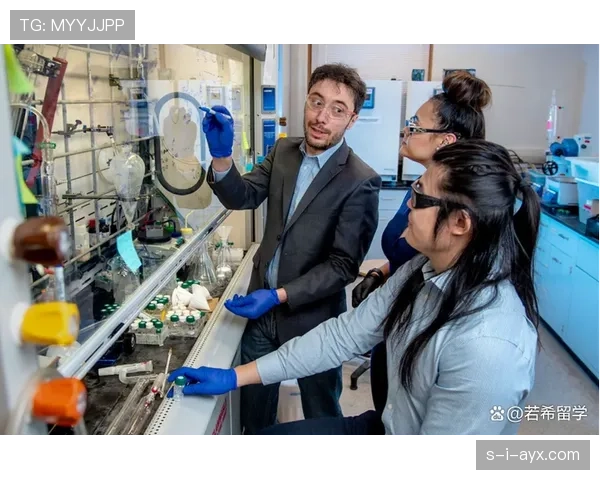 美国大学研究人员发布最新研究成果:探索前沿科学新突破 美国大学研究人员发布最新研究成果:探索前沿科学新突破